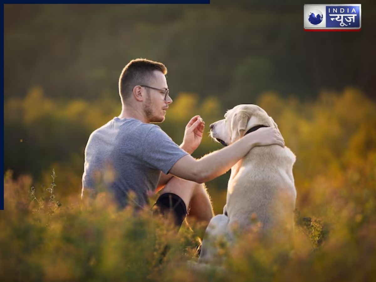 Dogs are emotional support animals - Photo Gallery