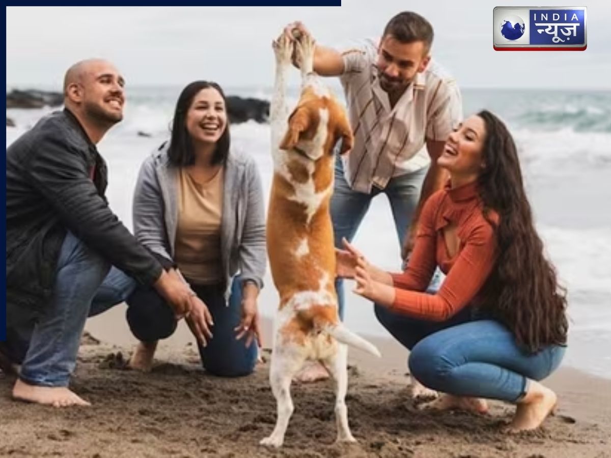 dogs improve social skills - Photo Gallery