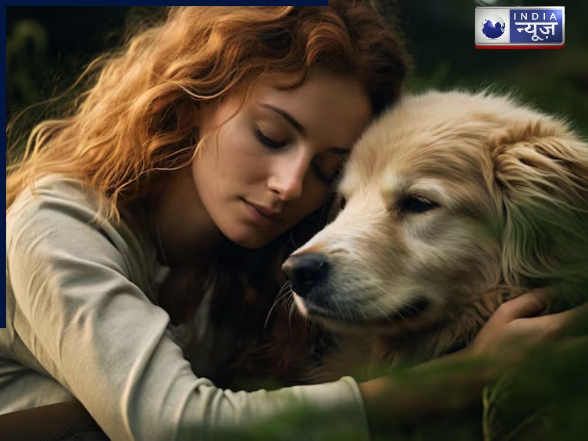 Dogs and PTSD support - Photo Gallery