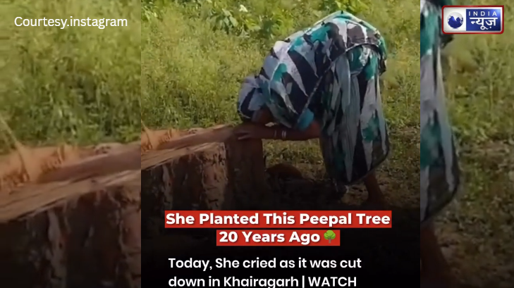 लालच ने काटा 20 साल का बेटा! जमीन के टुकड़े के लिए ममता का कत्ल, कलेजा चीर देने वाला वीडियो