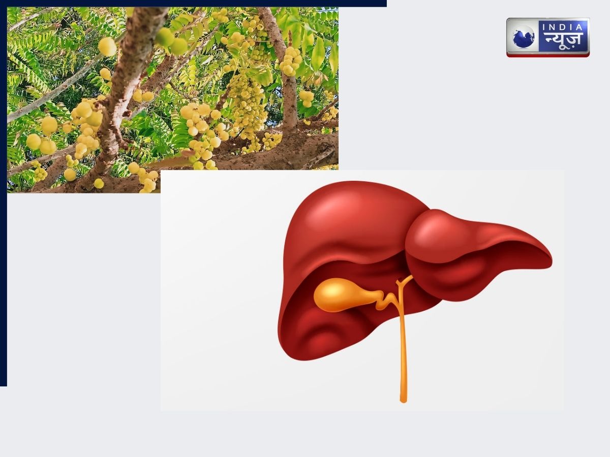 improves liver health - Photo Gallery