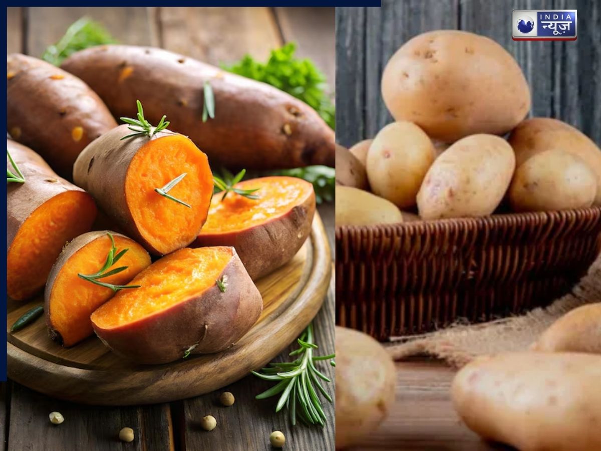 Difference between Potato and Sweet Potato - Photo Gallery