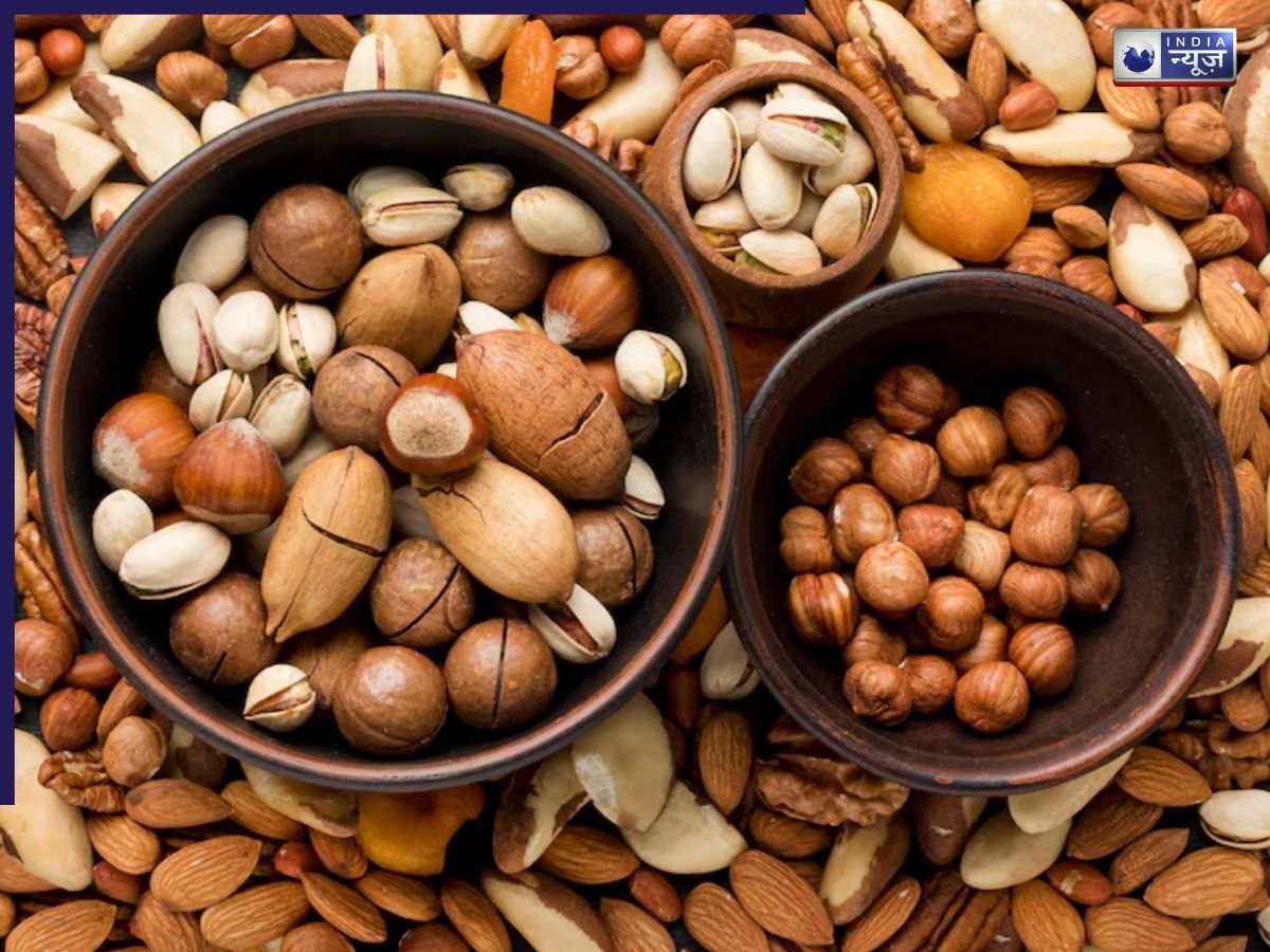 Types and quantities of nuts - Photo Gallery