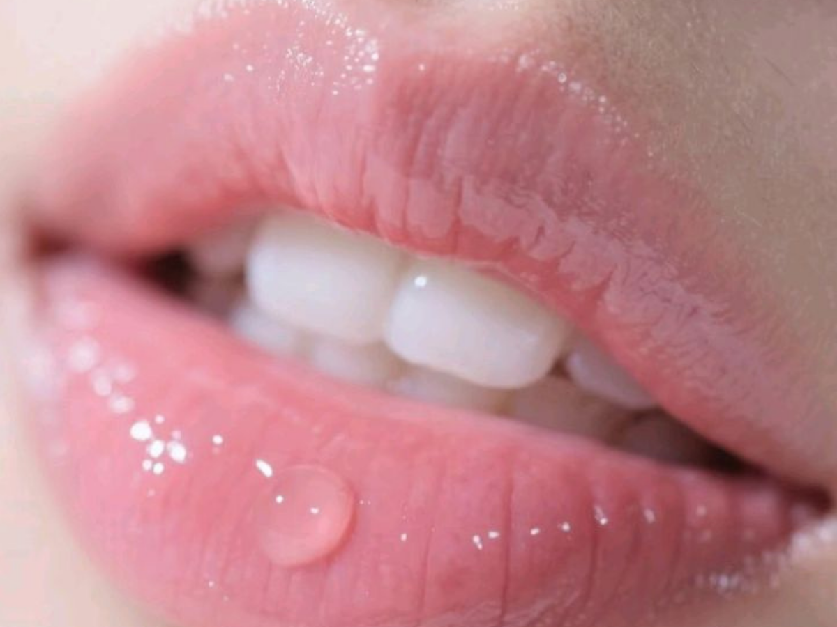 Disclaimer - Photo Gallery