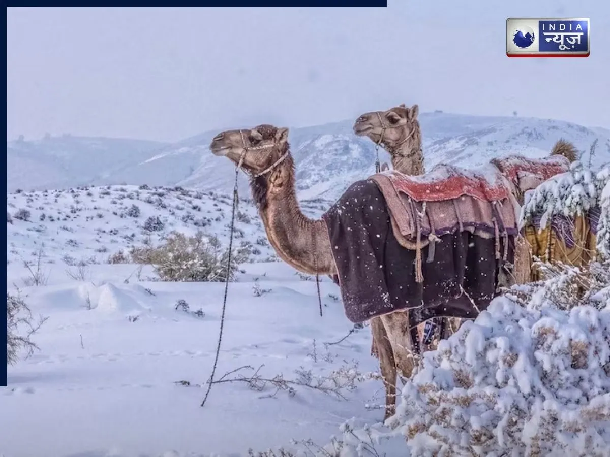 कहर या करिश्मा, बर्फ से ढका पूरा रेगिस्तान, सऊदी अरब में 30 साल बाद बर्फबारी; जानें क्या है वजह