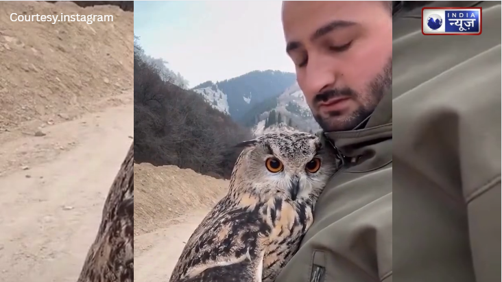 मालिक से लिपट गई ‘फीमेल’ उल्लू Sofia! पंखों से कसकर गले लगाने वाला वीडियो देख लोग हैरान