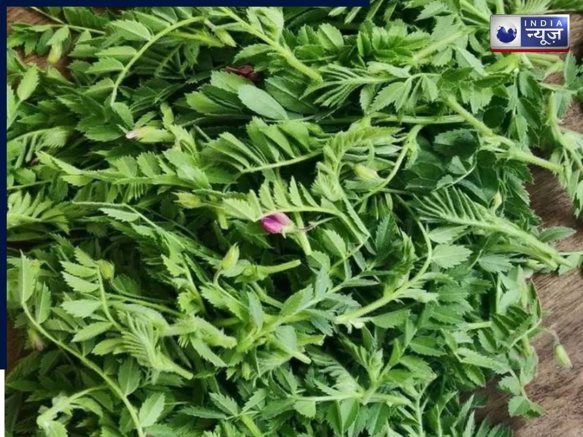 वह ‘गुप्त घोल’ जो चने के साग को बनाता है बेहद ही स्वादिष्ट, और क्या होते हैं इसके फायदे?