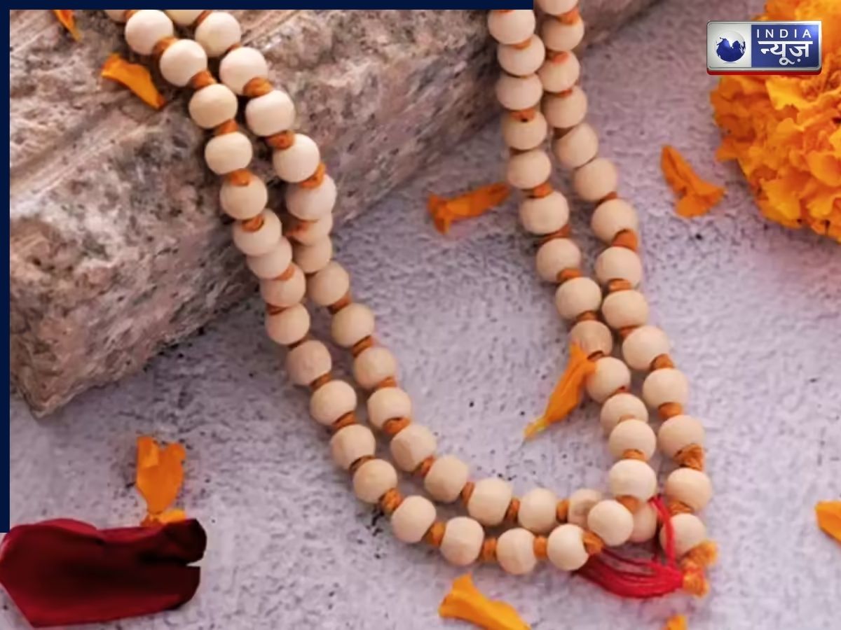 आखिर क्यों पहनी जाती है तुलसी माला? आध्यात्मिक ही नहीं वैज्ञानिक रूप में भी फायदेमंद, जानें नियम