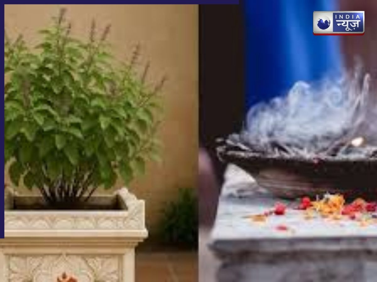 Tulsi Pujan Diwas 2025: 24 या 25 दिसंबर? तुलसी पूजन की सही तारीख जानिए, नहीं तो अधूरा रह जाएगा पुण्य