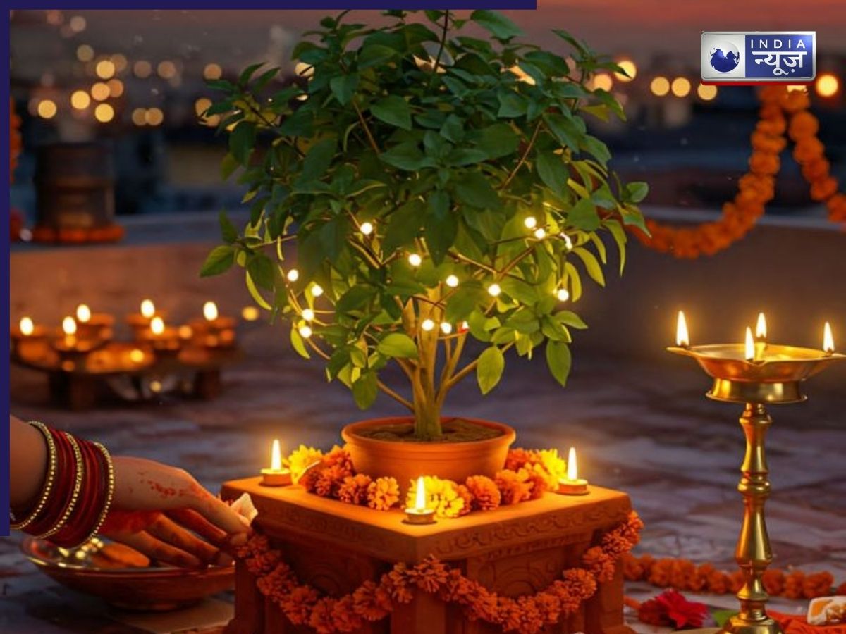 Tulsi Pujan Diwas Special: क्या तुलसी के ये संकेत आने वाली परेशानी का इशारा करते हैं? जानिए शास्त्र क्या कहते हैं?