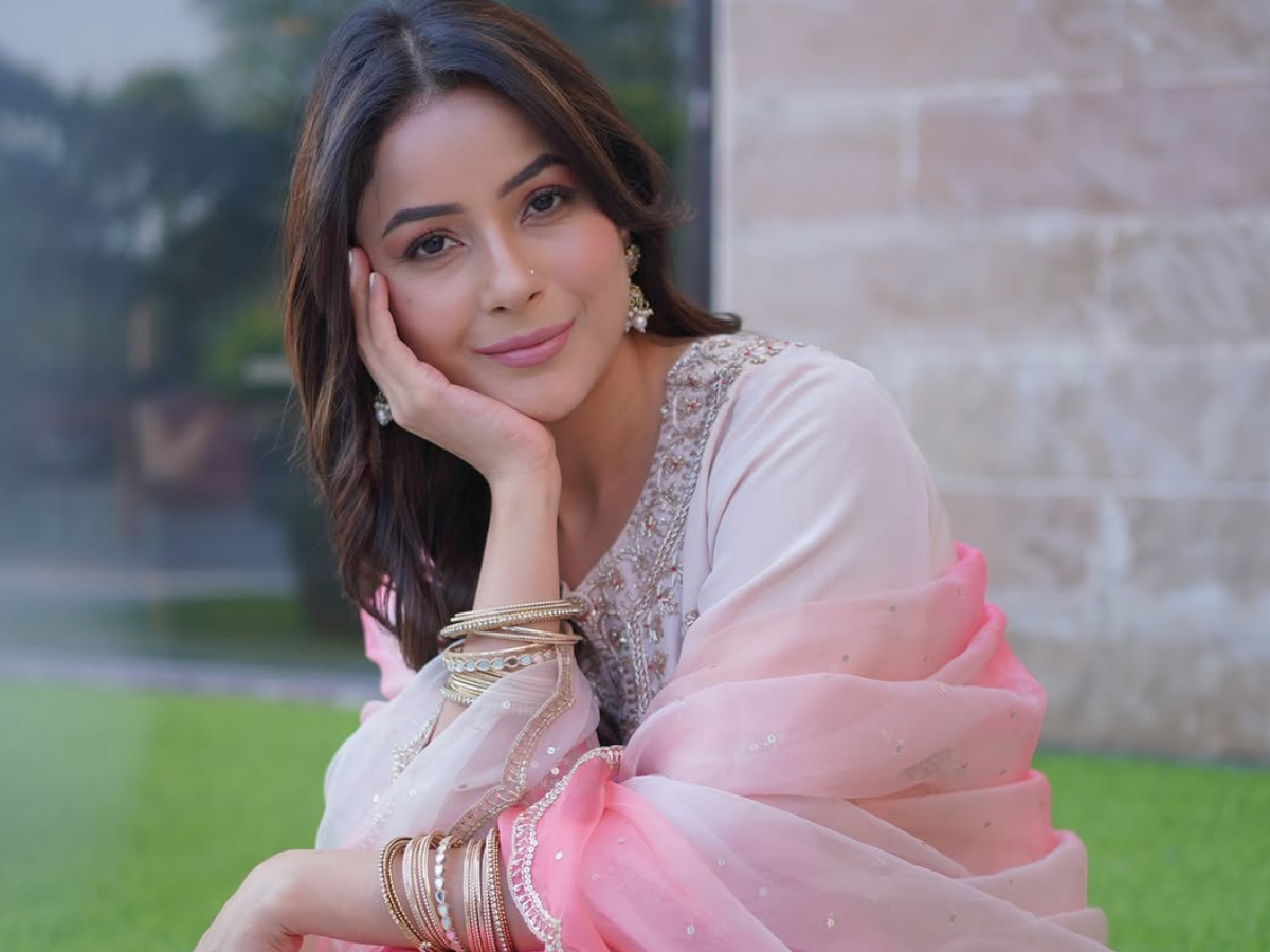 Bigg Boss 13 की बदौलत स्टार बनी Shehnaaz Gill….. इस कमेंट पर एक्ट्रेस ने दी सफाई कहा, ‘ऐसा नहीं…….’