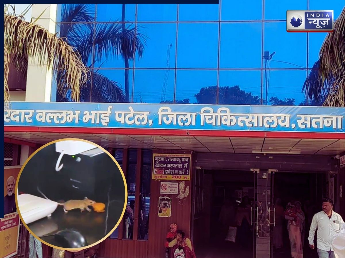 सतना अस्पताल के SNCU में चूहों का मंगोड़ी खाते वीडियो वायरल, सुरक्षा के घेरे में 40 नवजात, प्रबंधन बेसुध