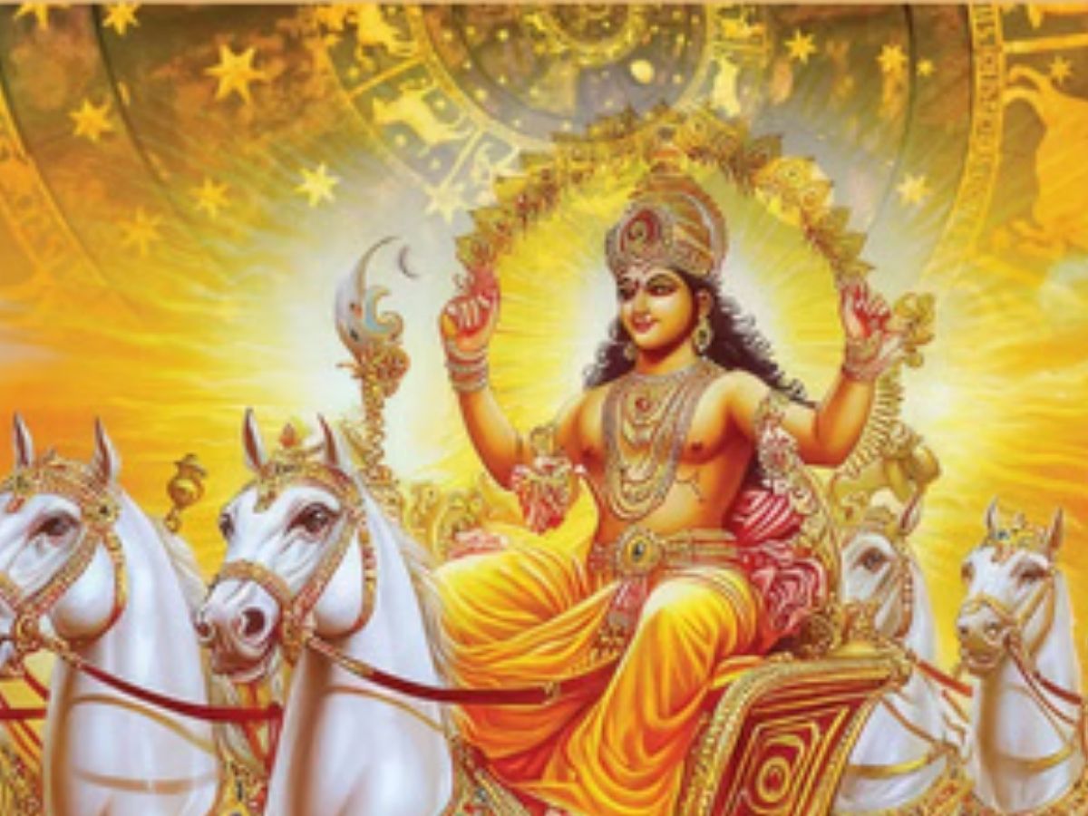 Disclaime - Photo Gallery