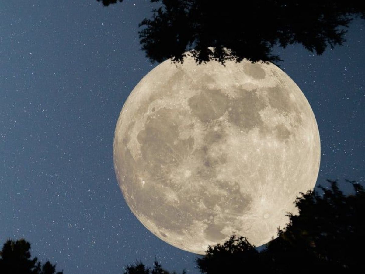 Supermoon 2025 The Cold Moon to Glow Extra Bright - Photo Gallery