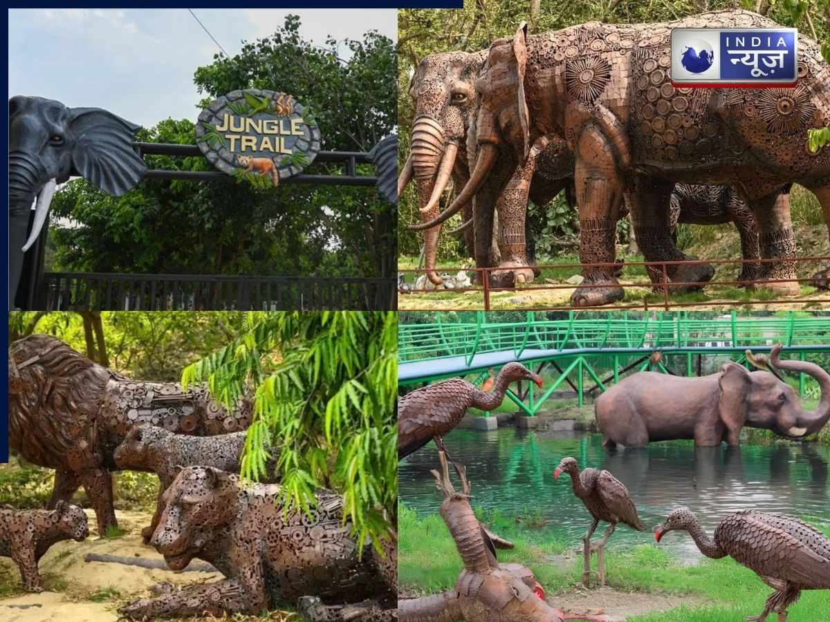 Jungle Trail in Noida: नोएडा में खुला दुनिया का सबसे खूबसूरत जंगल, कबाड़ से बनाई सुंदर-सुंदर आकृतियां; जानें टिकट प्राइज और टाइमिंग