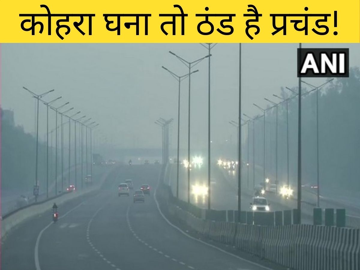 Weather Update 15 December 2025: भीषण ठंड के बीच उत्तर भारत के किन 16 शहरों में घने कोहरे का अलर्ट जारी, नोट कर लें नाम