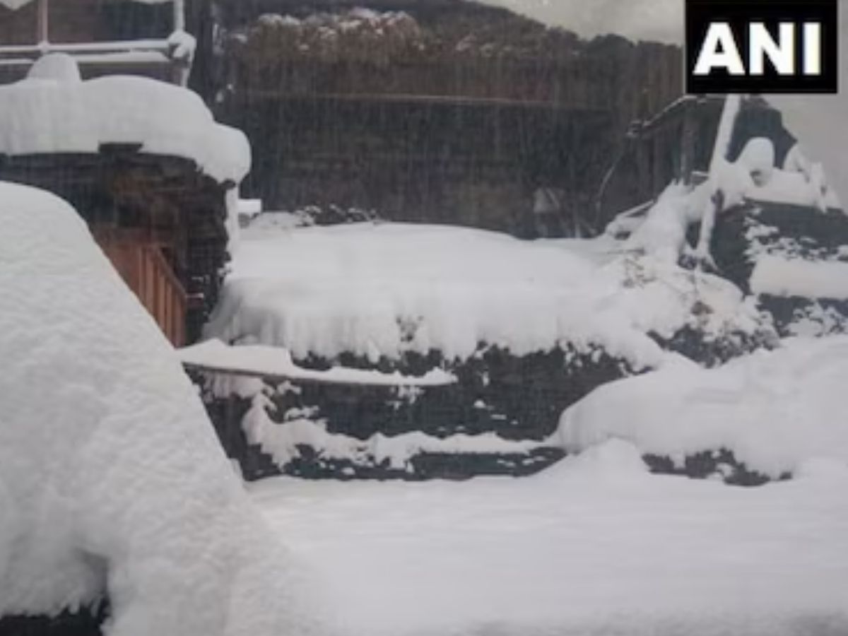 Weather Update 16 December: ठंड-कोहरे के बीच किन राज्यों में बारिश का अलर्ट जारी? जान लें देश के 11 शहरों में क्यों बढ़ा संकट