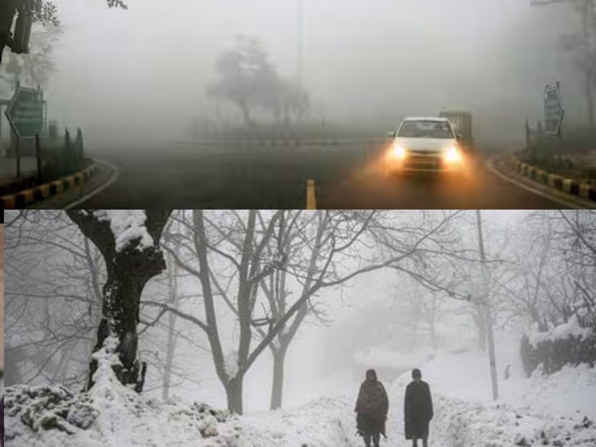 Weather Update: 15 शहरों में घने कोहरे का Alert, शीतलहर कहां करेंगी परेशान; नोट कर लें IMD का लेटेस्ट अपडेट