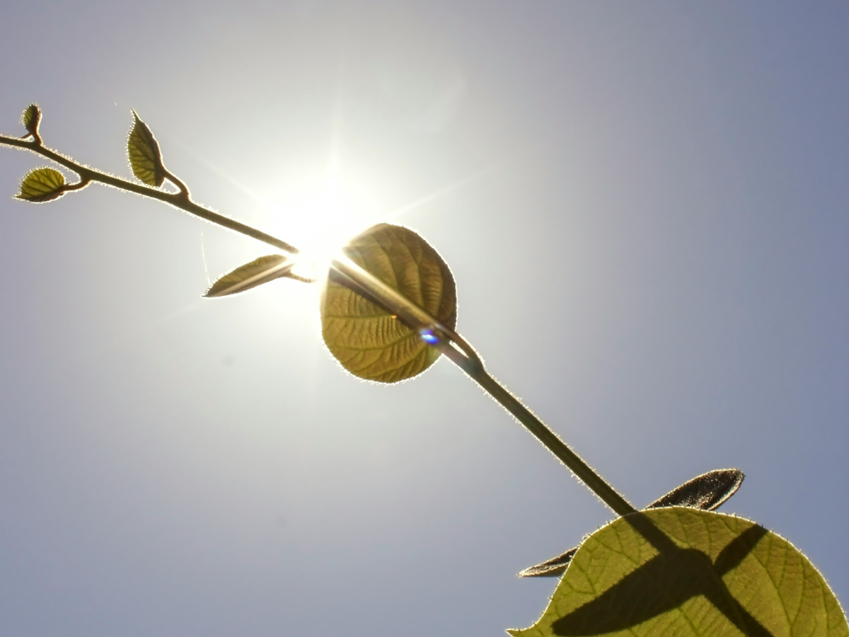 Works YearRound - Photo Gallery