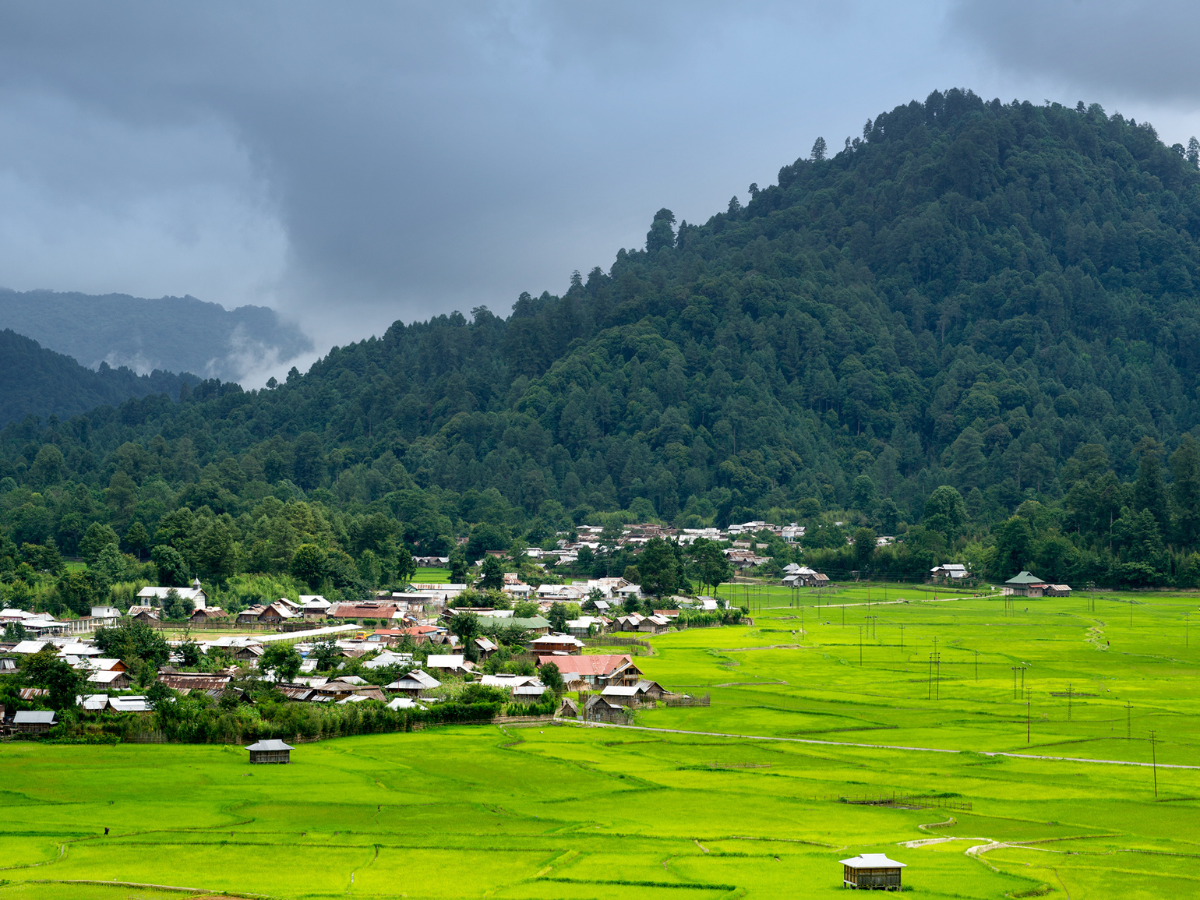 Ziro - Photo Gallery