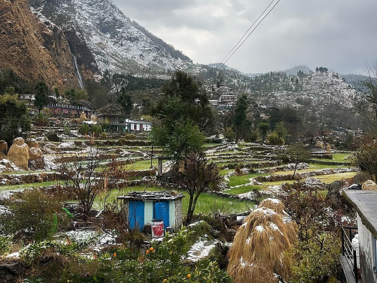 Dense to very dense fog at many places. - Photo Gallery