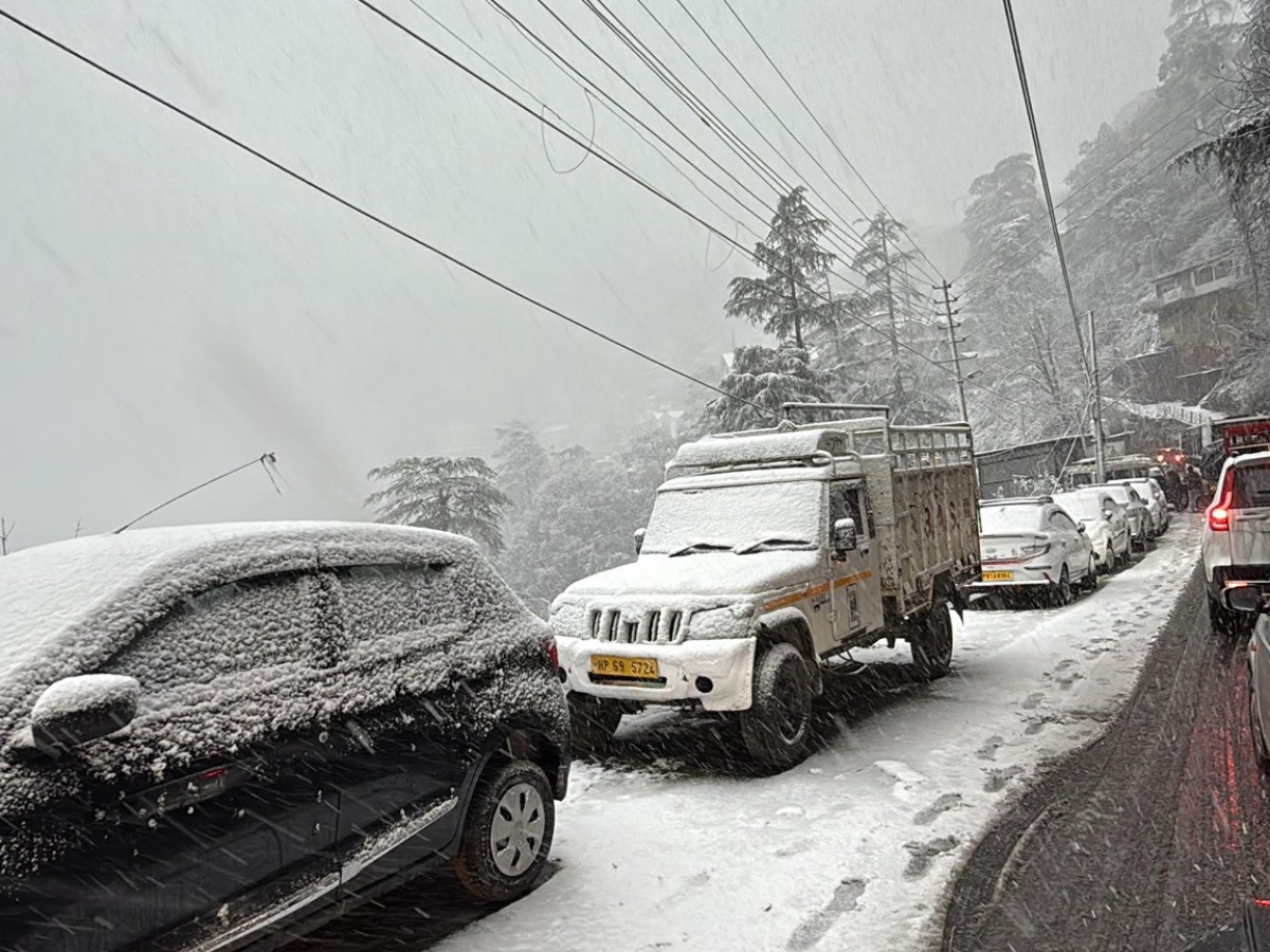 Snow storms in many places - Photo Gallery