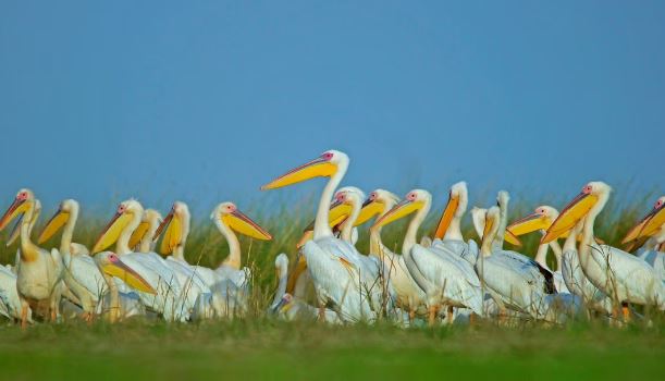 Gujarat - Photo Gallery