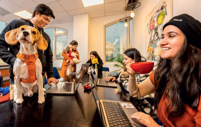 Values Alignment - Photo Gallery