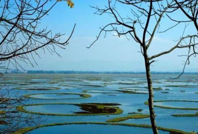 Keibul Lamjao (Manipur) - Photo Gallery