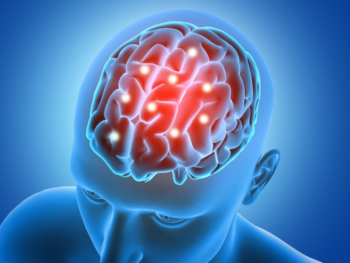 Fuel for the Brain - Photo Gallery