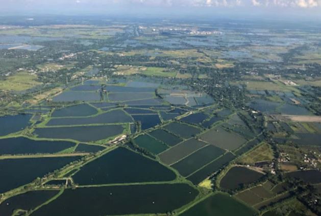 West Bengal - Photo Gallery