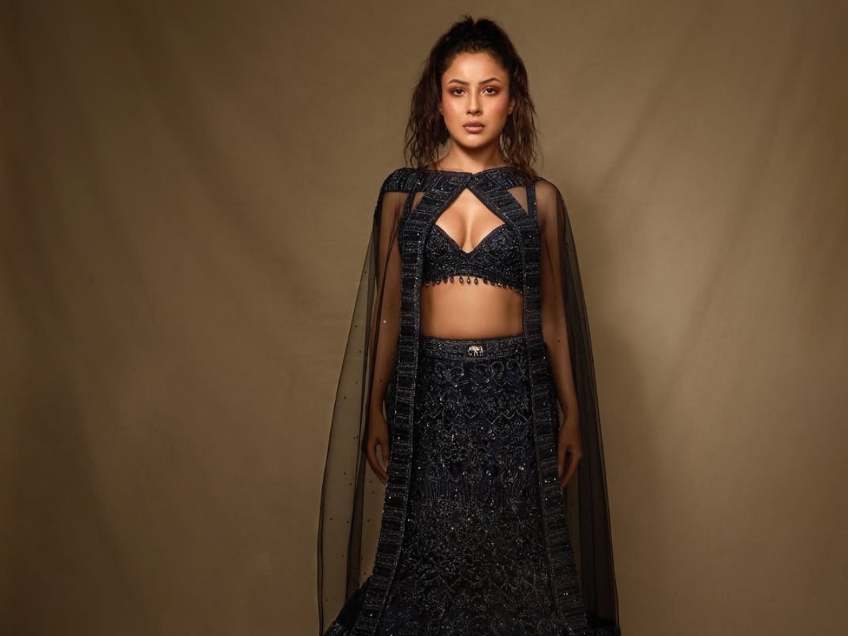 shehnaaz gill controversy - Photo Gallery