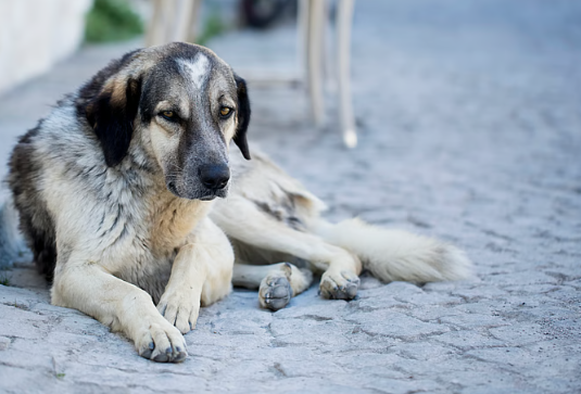 A stern warning to improve the system - Photo Gallery