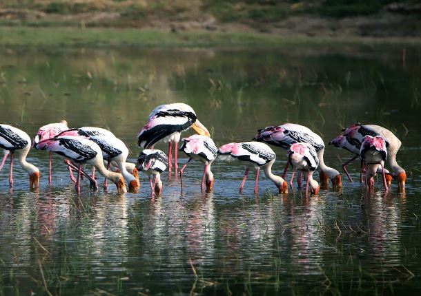 Tamil Nadu - Photo Gallery