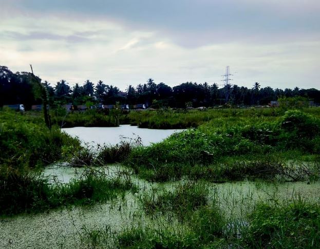 Kerala - Photo Gallery