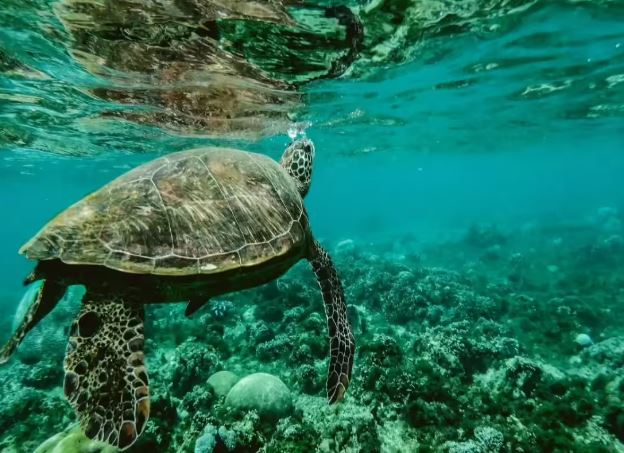 Marine National Park (Gujarat) - Photo Gallery