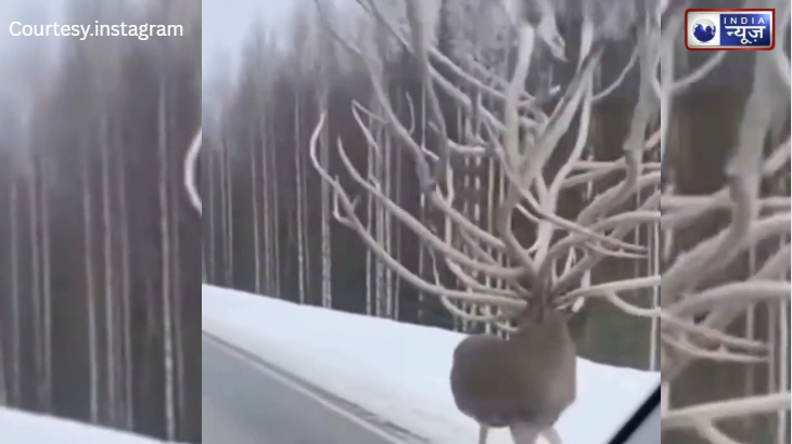 इतिहास को झूठा बता कर निकला रहस्यमयी जानवर! हजारों साल पहले लुप्त ‘बारासिंघा’ से मची खलबली