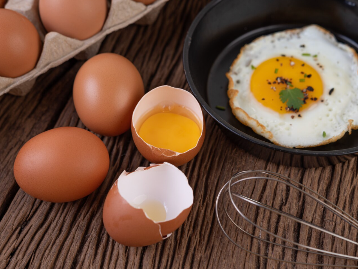 ब्रेन बूस्ट से लेकर फैट बर्न तक, जानें रोजाना अंडे खाने के 7 फायदे - Gallery Image