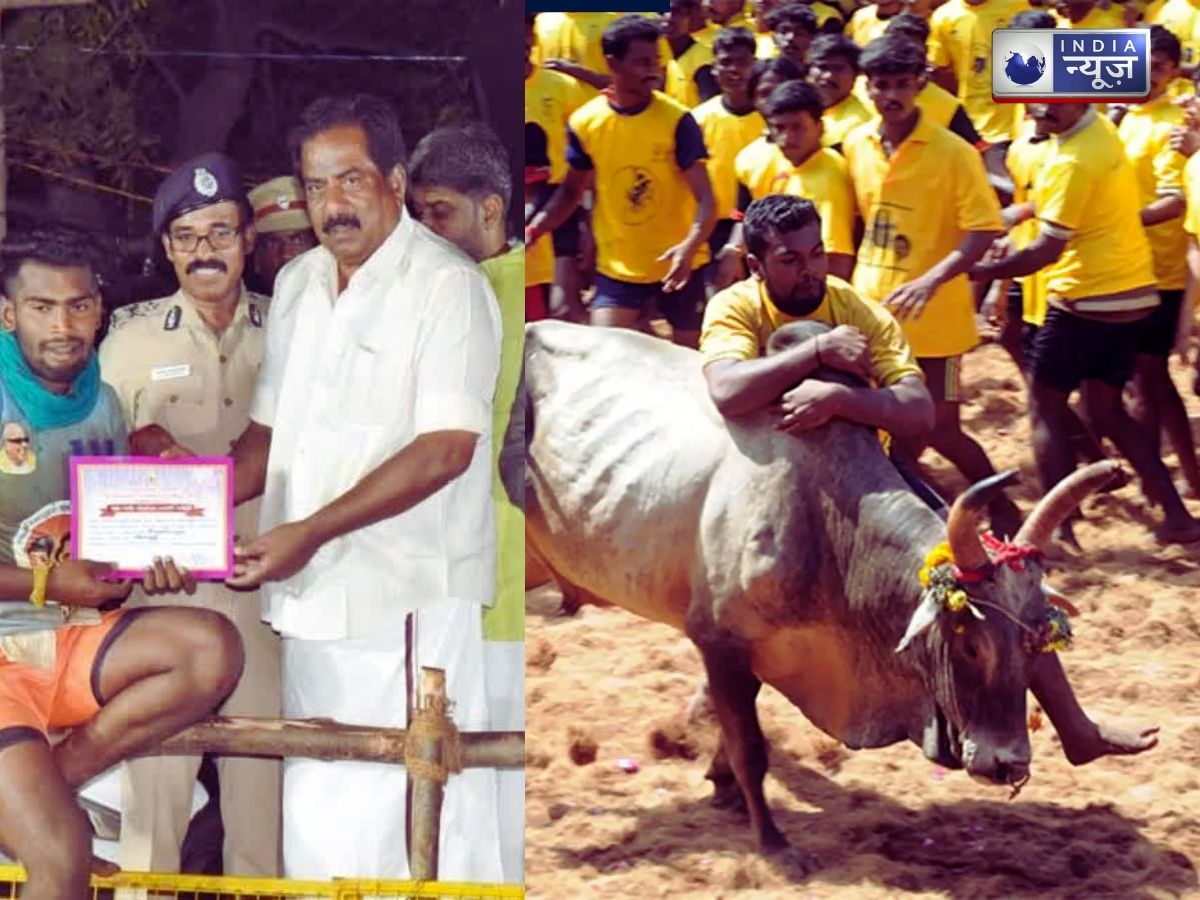 क्या है Jallikattu जिसमें किसी ने जीता ट्रैक्टर तो किसी ने “निसान” कार, 939 बैलों ने लिया रोमांचक मुकाबले में हिस्सा?
