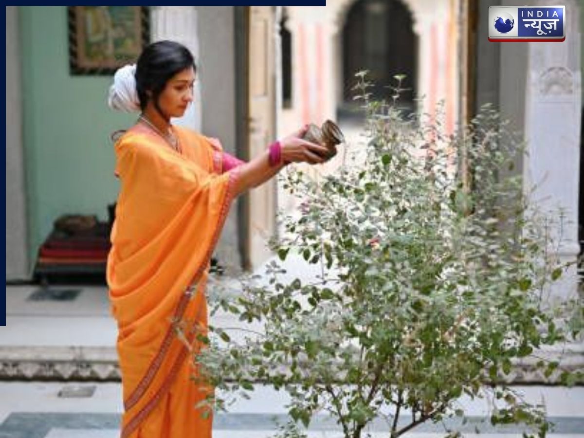 Tulsi Visarjan Vastu Niyam: सूखी तुलसी को लेकर न करें ये भूल, वरना घर से दूर हो सकती है सुख-समृद्धि