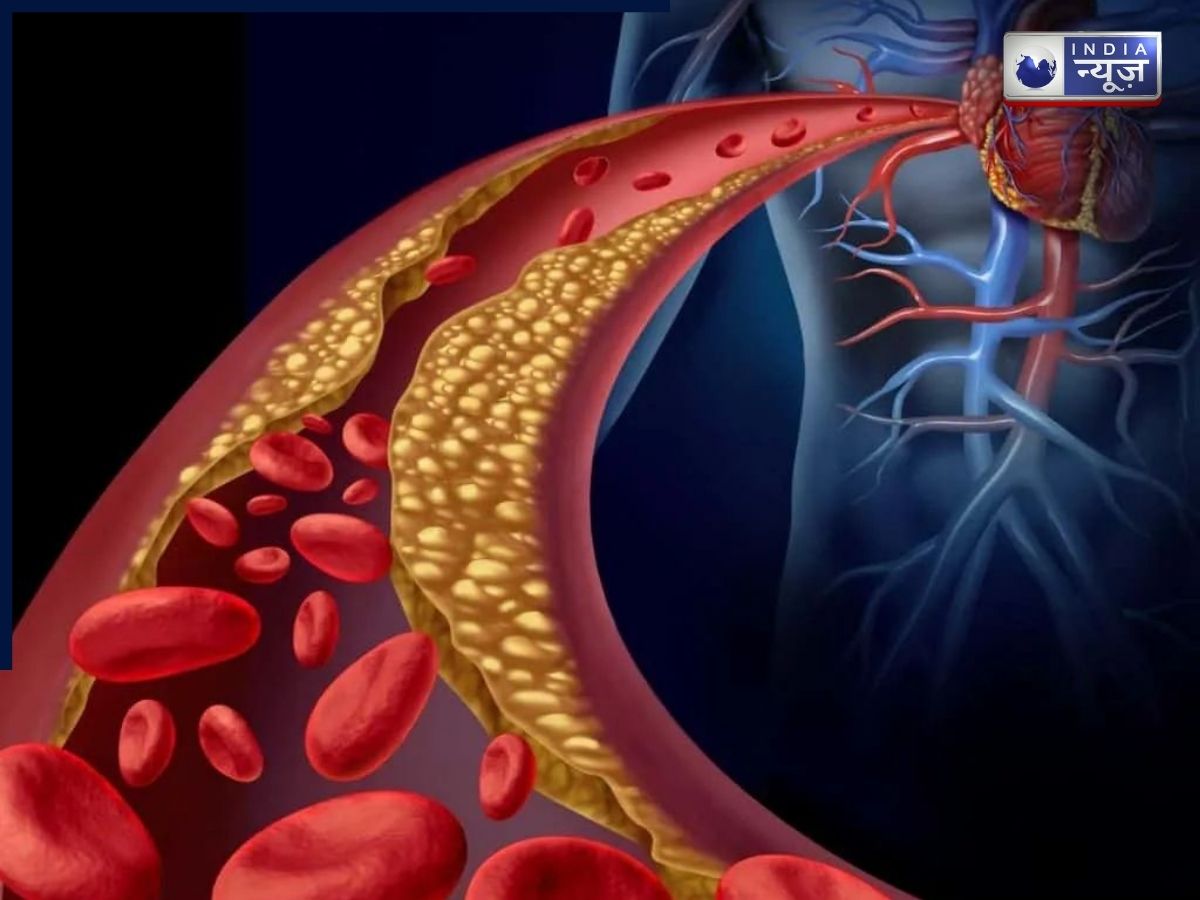 ना दवा, ना जिम…सिर्फ 48 घंटे और एक कटोरी ओट्स,दो दिन में दिखा कमाल! इस डाइट से 10% तक घटा कोलेस्ट्रॉल