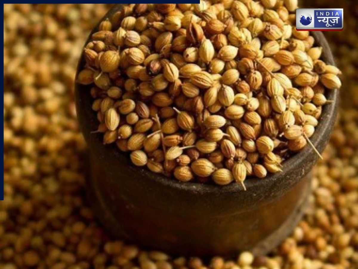 Coriander Seeds - Photo Gallery