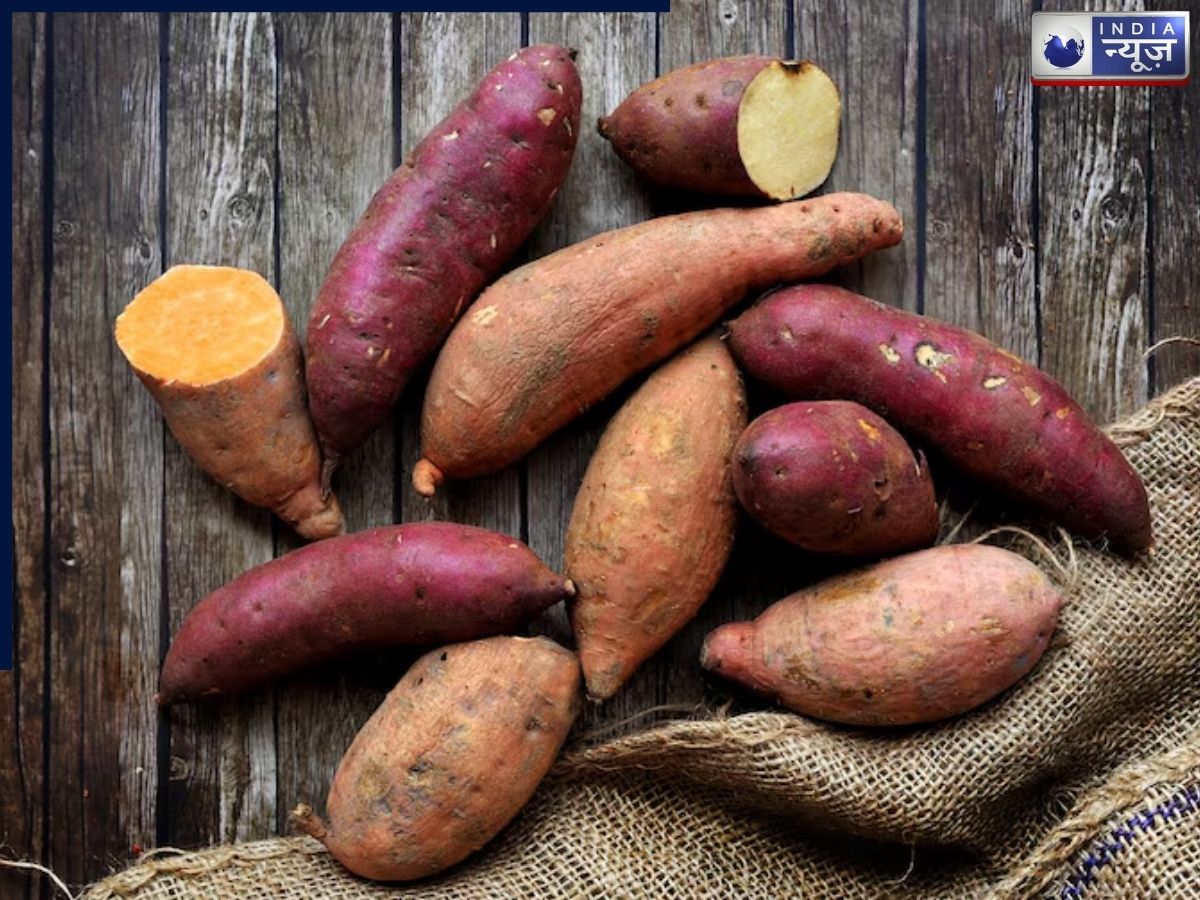 sweet potato for growth - Photo Gallery