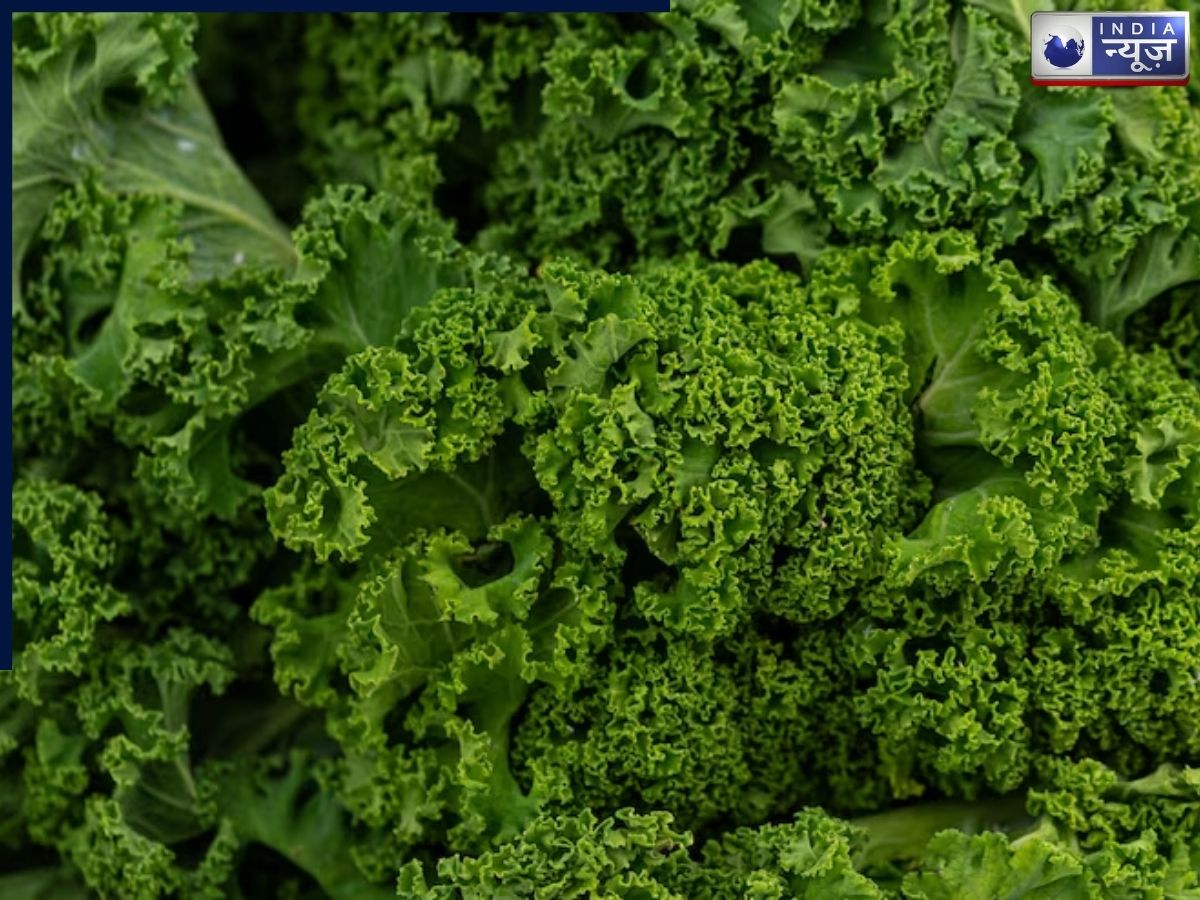 kale for bone health - Photo Gallery