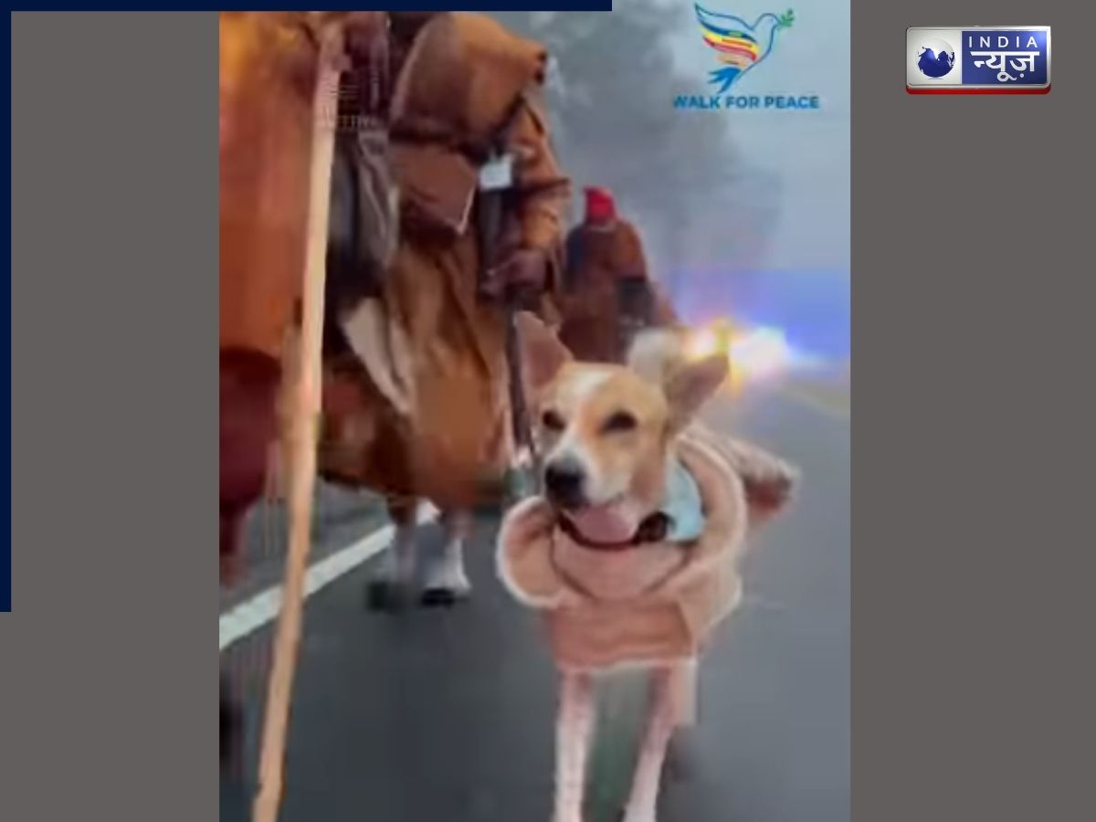 अमेरिका में बुद्ध के शांति संदेश का प्रचार कर रहा भारत का अलोका, वीडियो वायरल