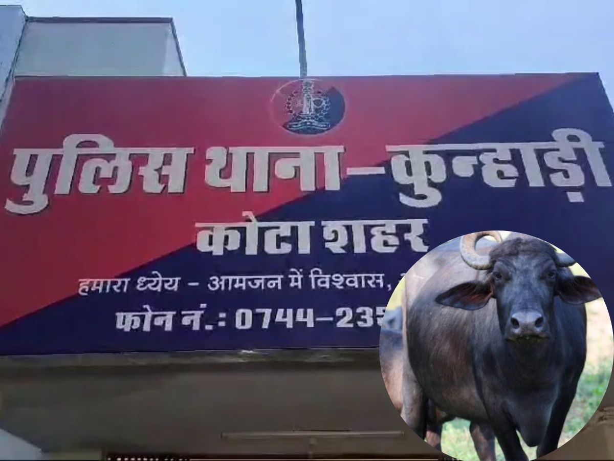 ‘भैंस’ किसकी है? दो दावेदारों में उलझी गुत्थी, पुलिस ने इस अनोखे तरीके से लगाया सच का पता, जान रह जाएंगे हैरान
