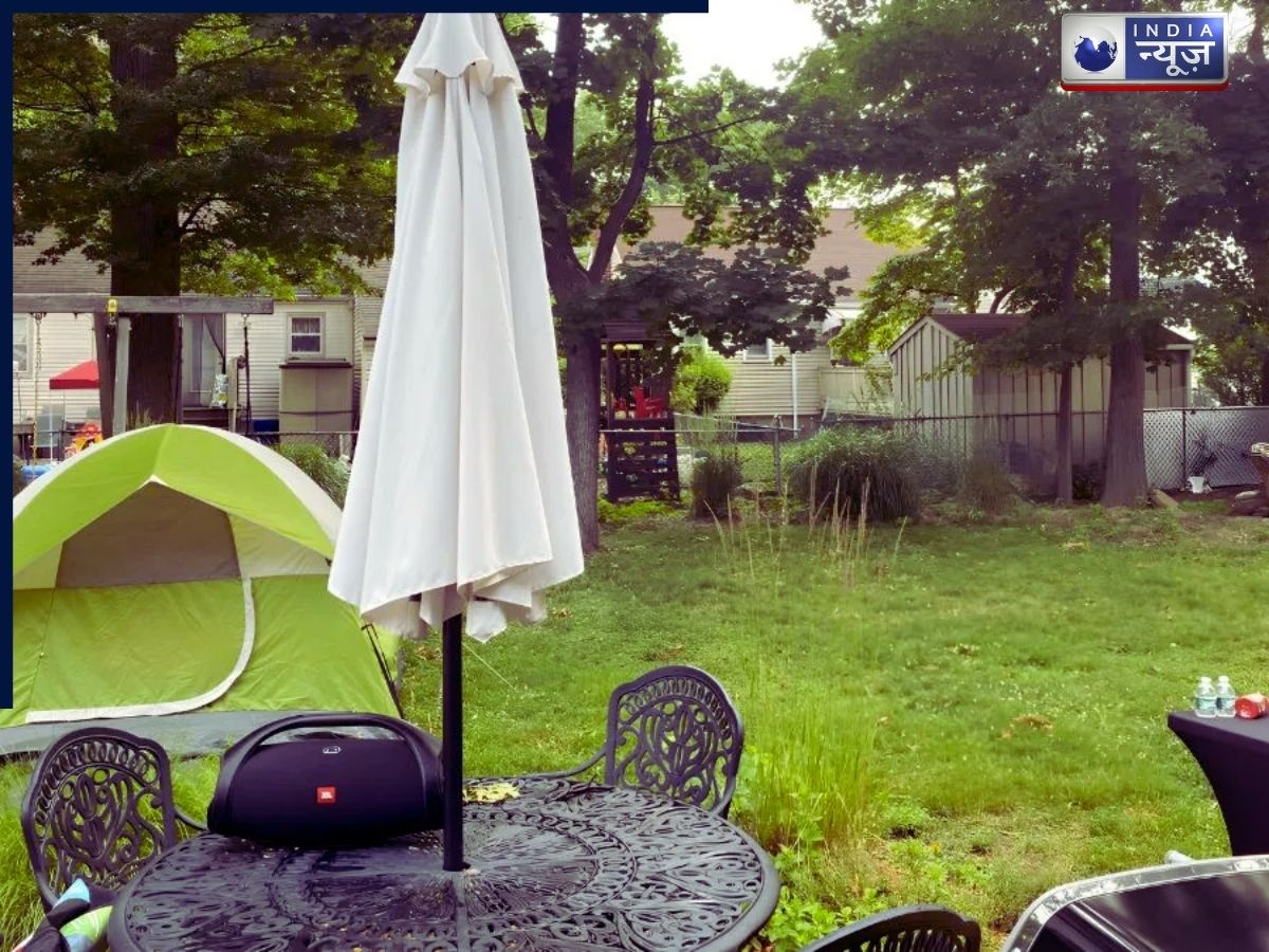 Optical Illusion: क्या आपने आउटडोर बैकयार्ड में छिपे हुए हिरन को देखा, 19 सेकंड में करें ऑब्जर्वेशन स्किल टेस्ट