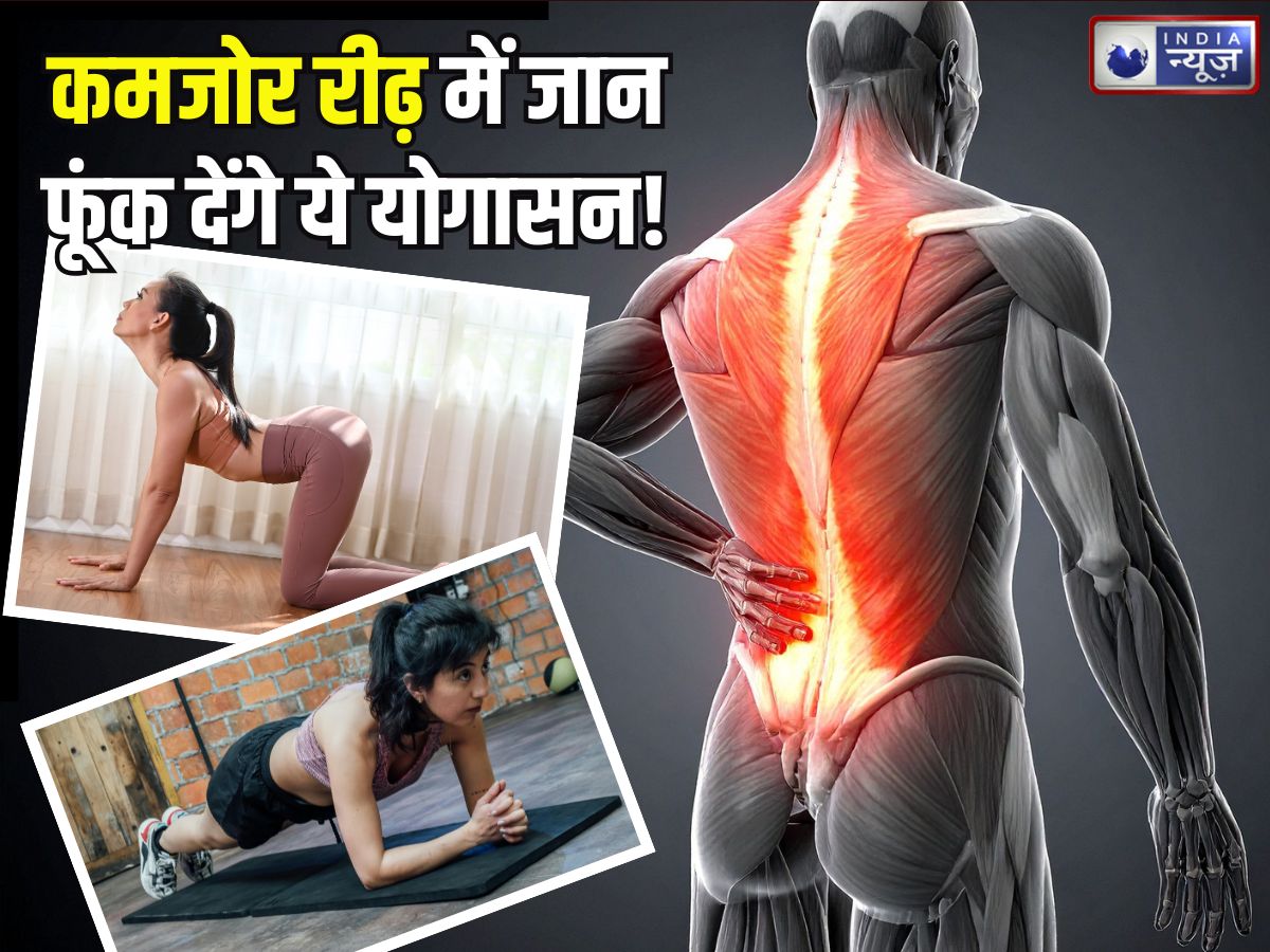 जवानी में ही रीढ़ की हड्डी हो गई कमजोर? मजबूत बनाने के लिए शुरू करें ये 5 एक्सरसाइज, जल्द दिखने लगेगा असर