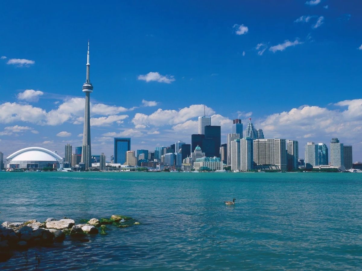 Canada Male Baldness - Photo Gallery