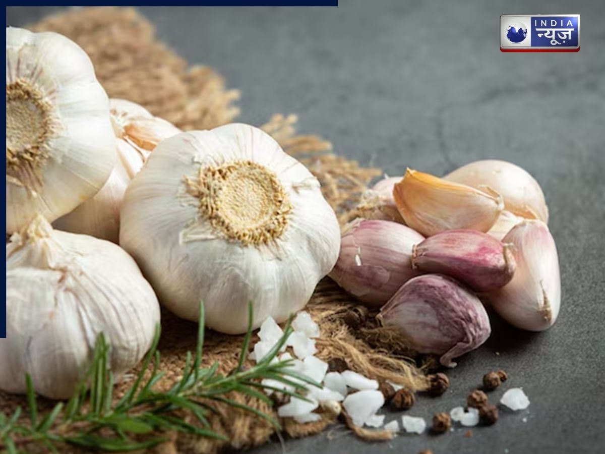 Kidney Health Care: इन 5 सुपरफूड्स के सेवन से दुरुस्त रहेगी किडनी, डैमेज होने का नहीं होगा खतरा - Gallery Image